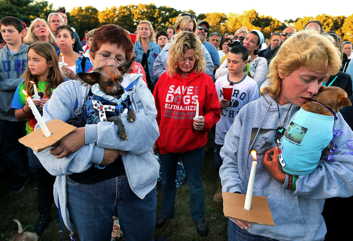 Quincy-09/28/13 Dog lovers held a vigil at Pageant Field to remember a pit bull named Puppy Doe who had been tortured and was put to sleep. They came out to show their anger at the cruelty that the dog had gone through, and called for justice.