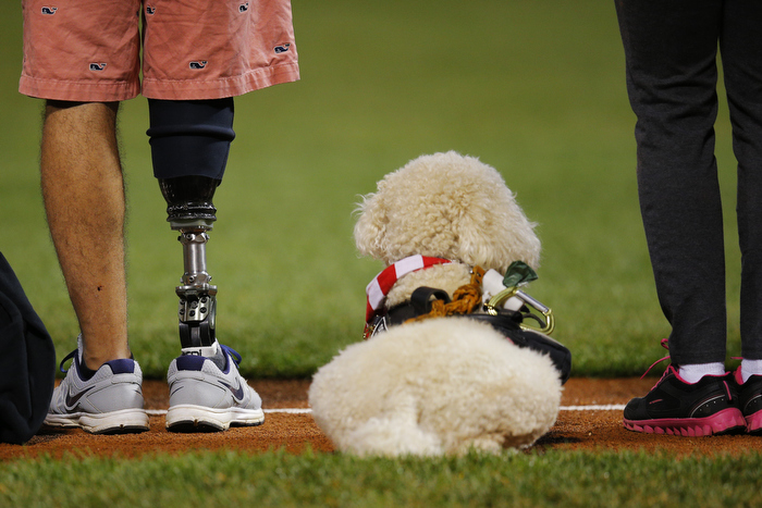 United States Marine Dominic Devila (L) and Courage, a service dog trained to assist wounded soldiers, stand on the third base line during a pre-game ceremony honoring the Wounded Warriors program before the the MLB American League baseball game between the Toronto Blue Jays and the Boston Red Sox at Fenway Park in Boston, Massachusetts September 20, 2013.